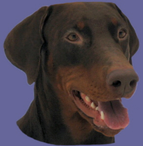 sali