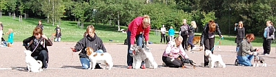 Kasper and Lari in ring for puppies who got red ribbon