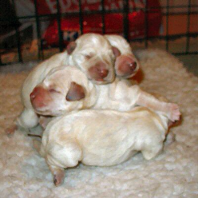 just born