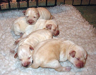 just born