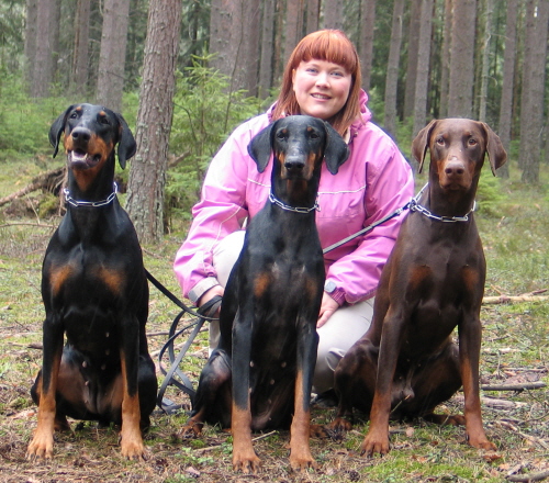 Darya&acute;s Dria Delfie, A&acute;Dreams Elfrida, Darya&acute;s Dall Defender